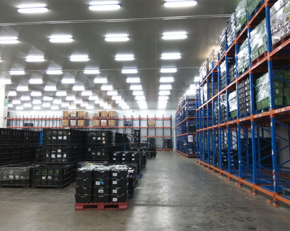 Refrigerated Warehousing